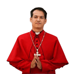 Dom Luís Fernando Bertol