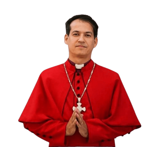 Dom Luís Fernando Bertol, Administrador Diocesano de Novo Planalto e Porangatu